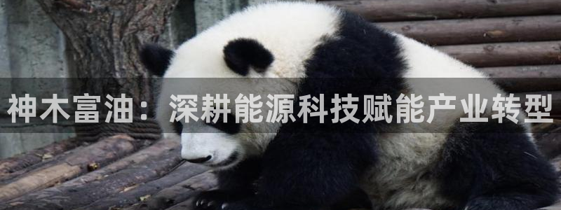 sunbet申搏app下载