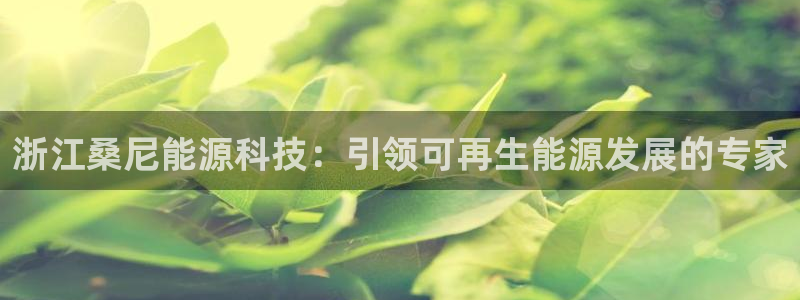 申博官网手机版下载app