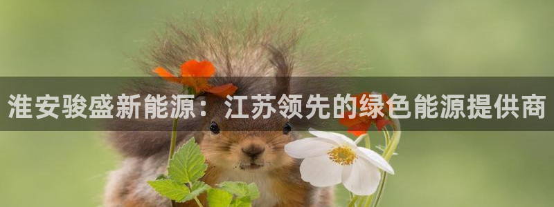 申博官网电脑版下载