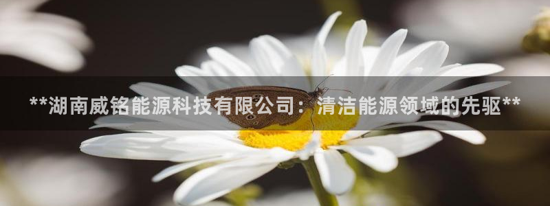 sunbet最新登陆