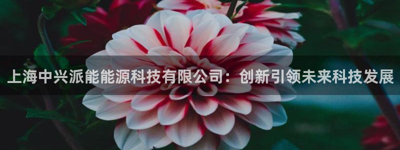 下载申搏sunbet并安装app