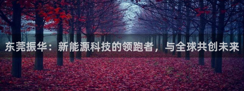 sunbet官网代理下载