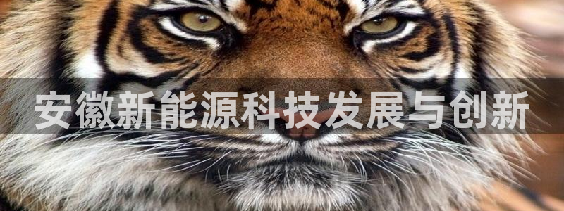 sunbet官网开户登录手机版