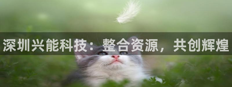 sunbet游戏最新版