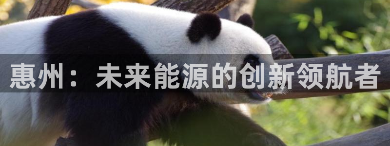 sunbet苹果官网下载