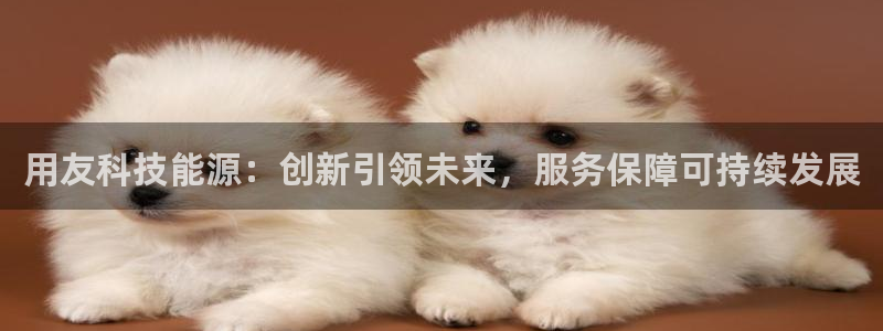 申博官方网站手机版下载