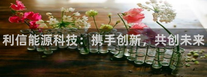 sunbet最新登陆