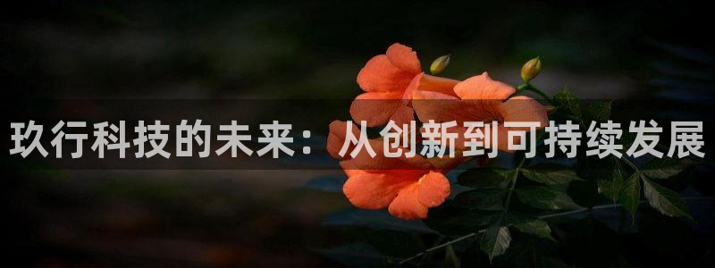 sunbet线上真人手机版