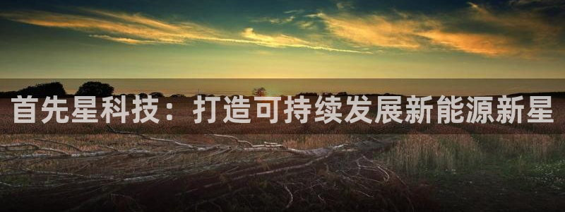 申博手机版官网