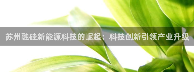 sunbet官网代理下载