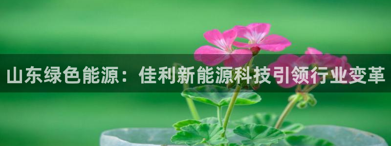 申慱sunbet手机版登