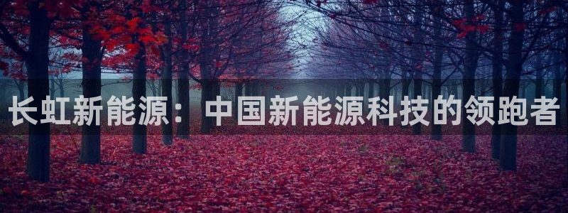 sunbet官网开户登录手机版