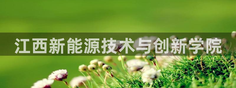 sunbet官网代理下载