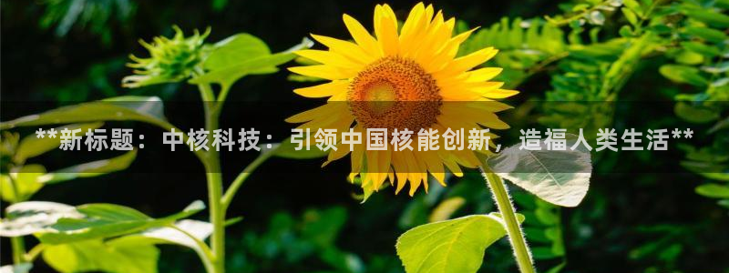 sunbet官网代理下载
