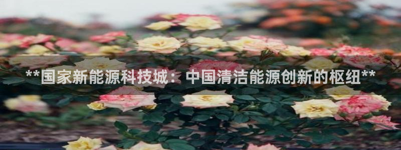 sunbet源码