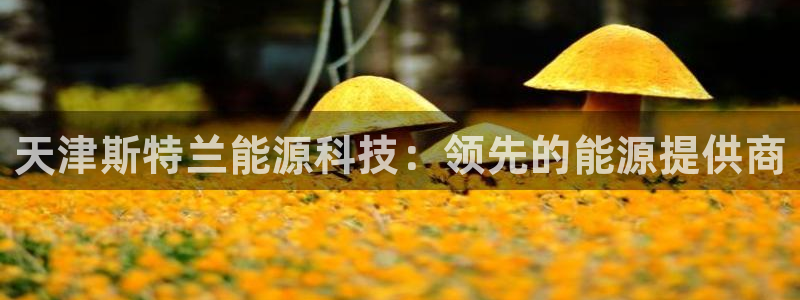 申博官网手机版下载app