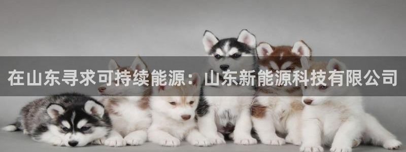 sunbet手机app版