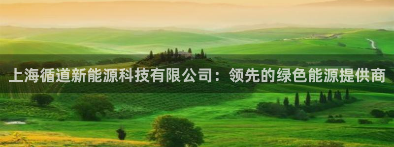sunbet源码