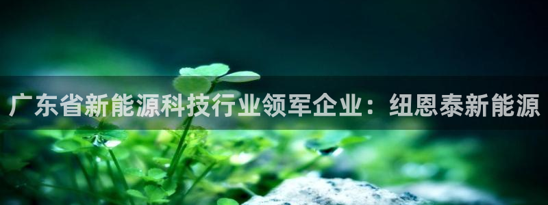 sunbet手机网页版本