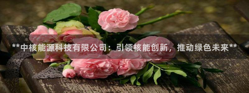 sunbet安卓下载