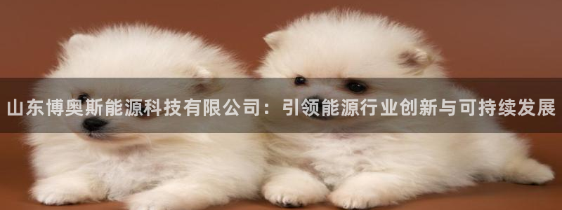申博视讯