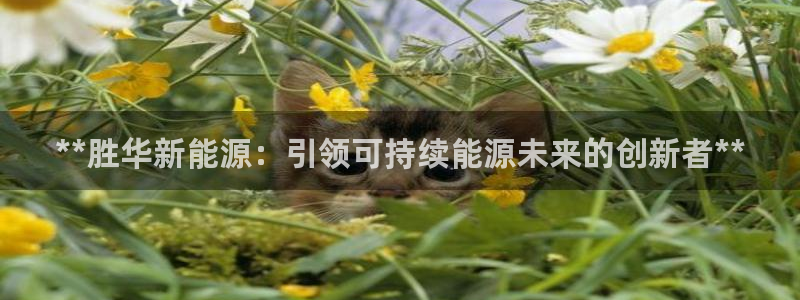 申慱sunbet手机版登