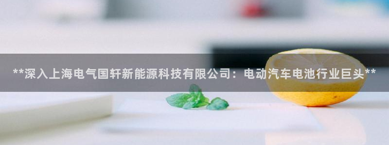 申博官网手机版下载app
