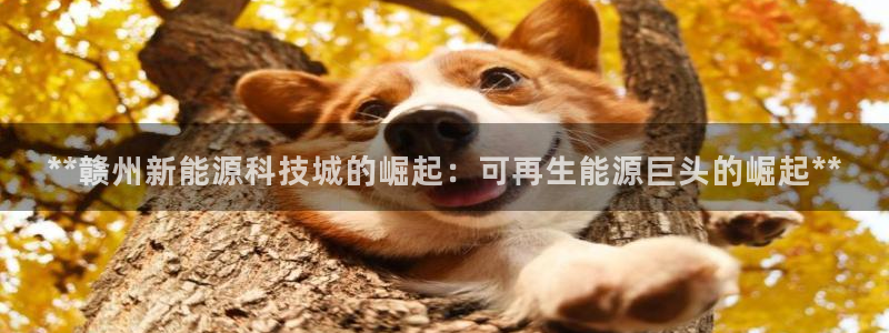 sunbet游戏网