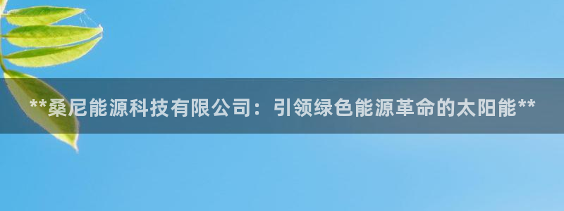 申博官网手机客户端