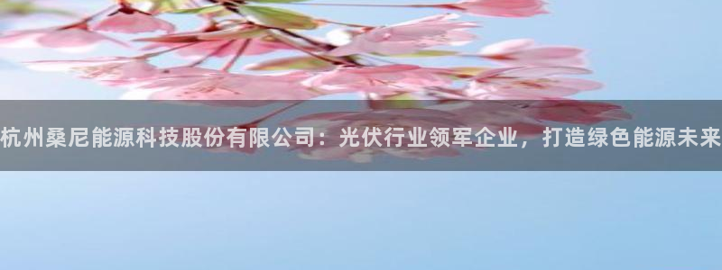 sunbet申搏app下载