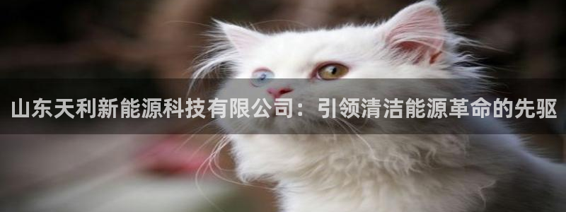 sunbet官网app首页