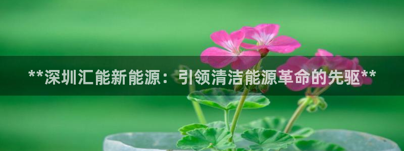申博官方网站