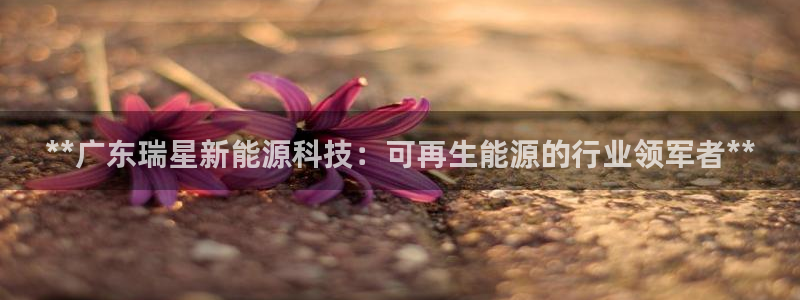 sunbet申搏地址