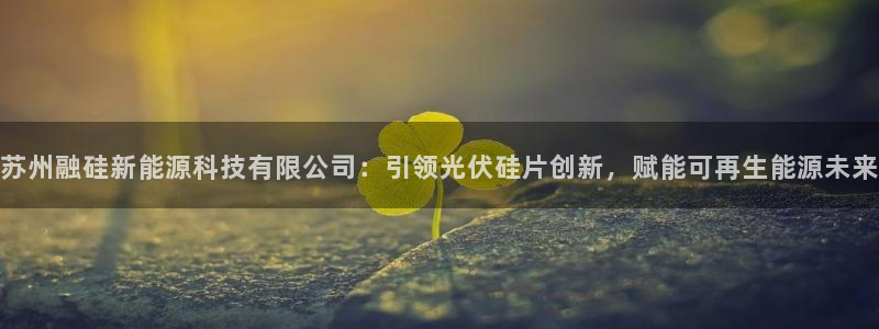 sunbet苹果app