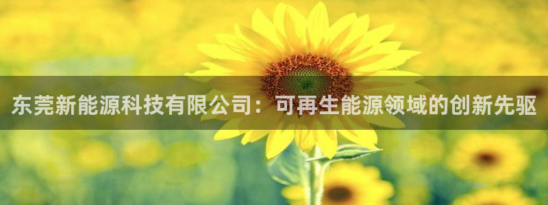 sunbet安卓下载
