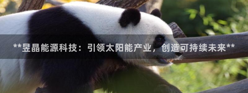 申慱sunbet手机版登
