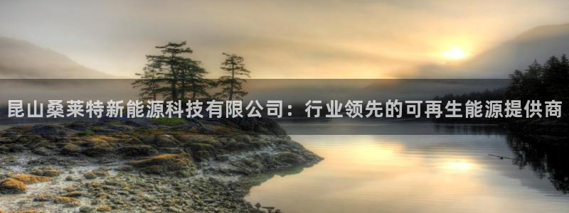 申博app下载