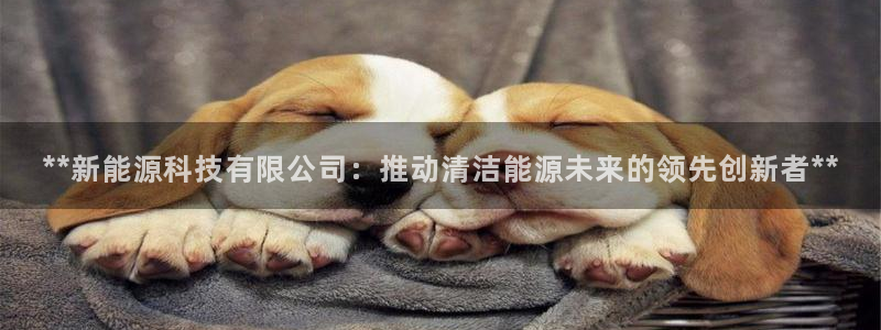 sunbet最新消息