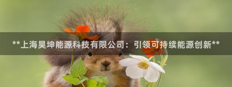 sunbet申搏平台