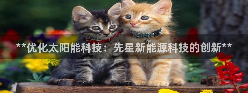 sunbething怎么读