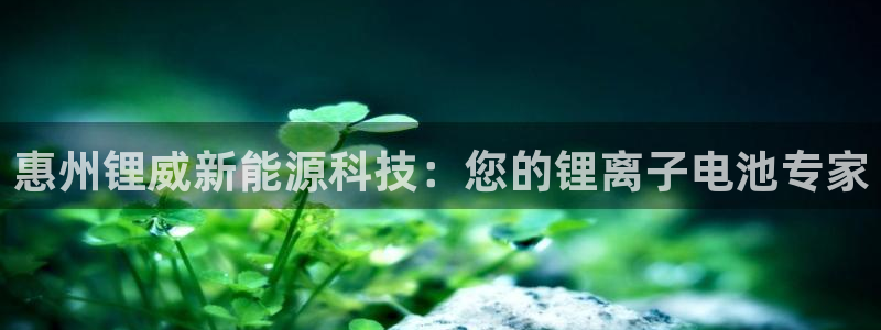 sunbet英语翻译