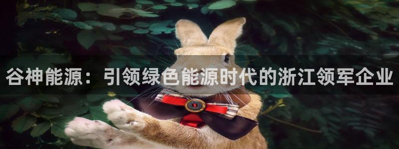 sunbet中文