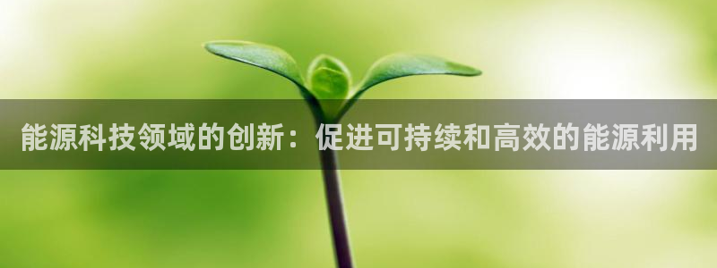 sunbet英语翻译