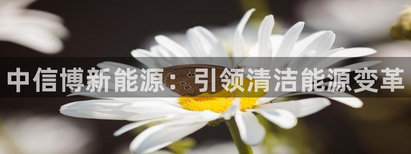 申博手机版官网