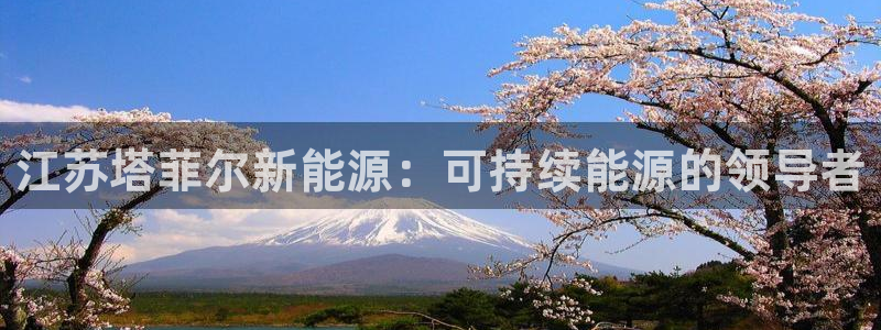 sunbet游戏官网
