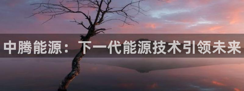 sunbet手机版官网下载
