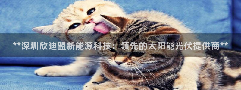 sunbet燃气灶