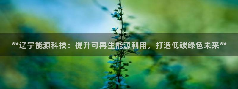 sunbet中国官网