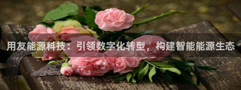 sunbet最新登陆