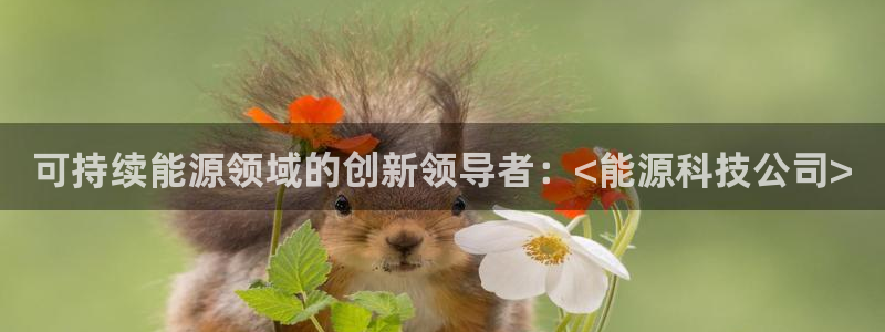 sunbet源码